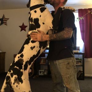 Meet your Posher, Rhonda